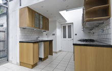 Symondsbury kitchen extension leads